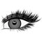 eyelashes